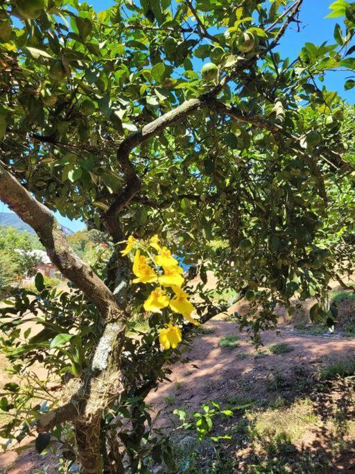 Villa Chácara dos Sonhos em Mairiporã Esterno foto